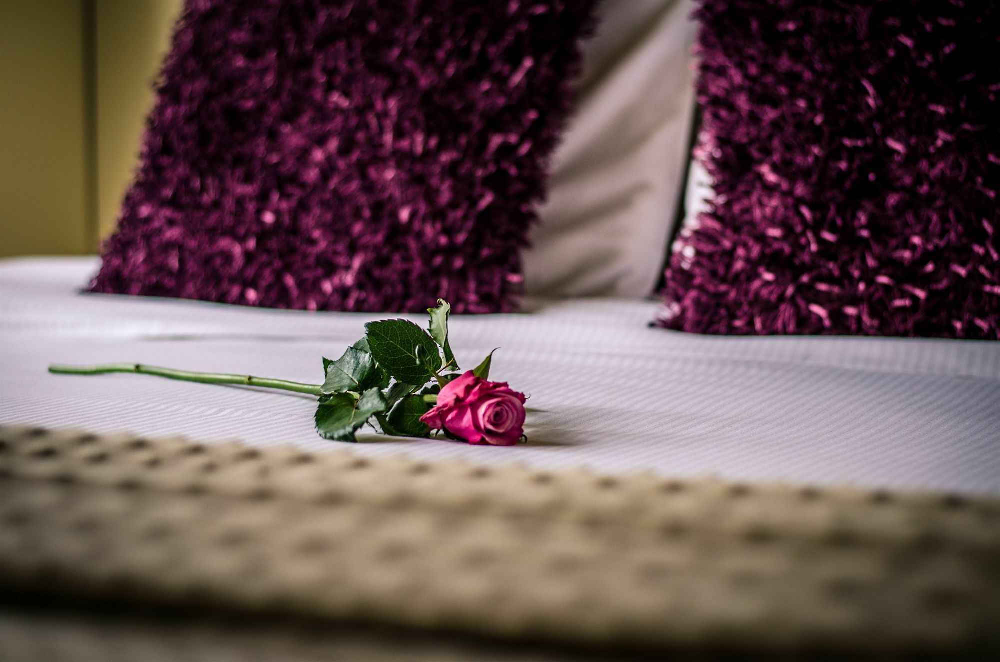 Hotel Botaniek Брюгге Экстерьер фото
